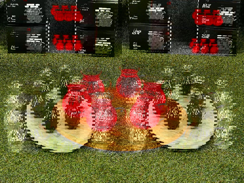 ÇİZGİLİ 6 LI TERMİSİL TOMBİK BARDAK*24